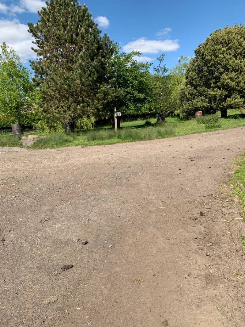 walking near me in Coed Bach Park in winter