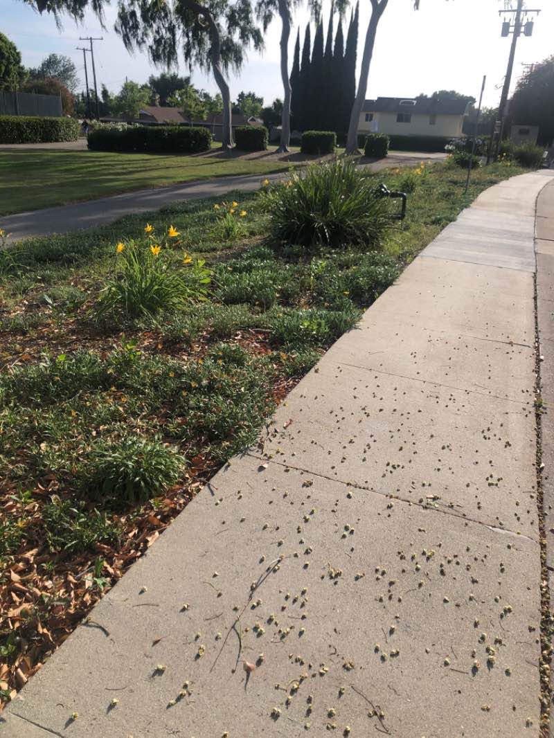walking near me in Old Reservoir Park in winter