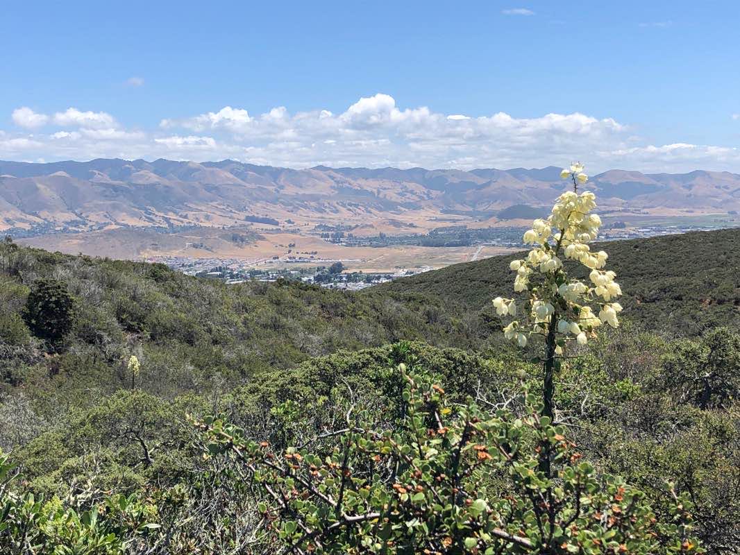 walking near me in Irish Hills Open Space in winter