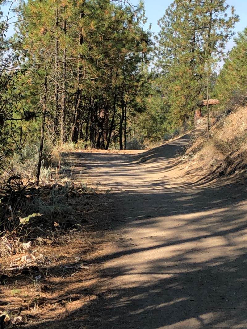 walking near me in Hangman Park in winter