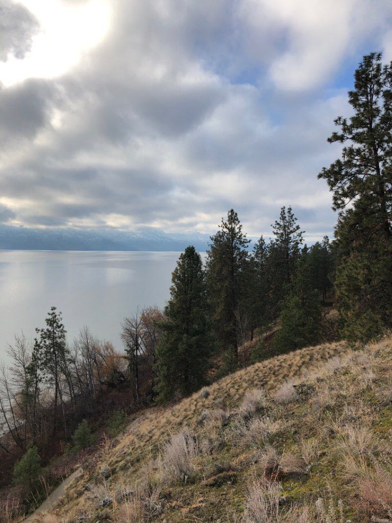 walking near me in Kalamoir Regional Park in winter
