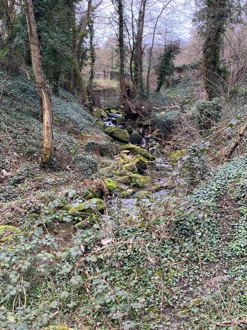 walking near me in The Dell in winter