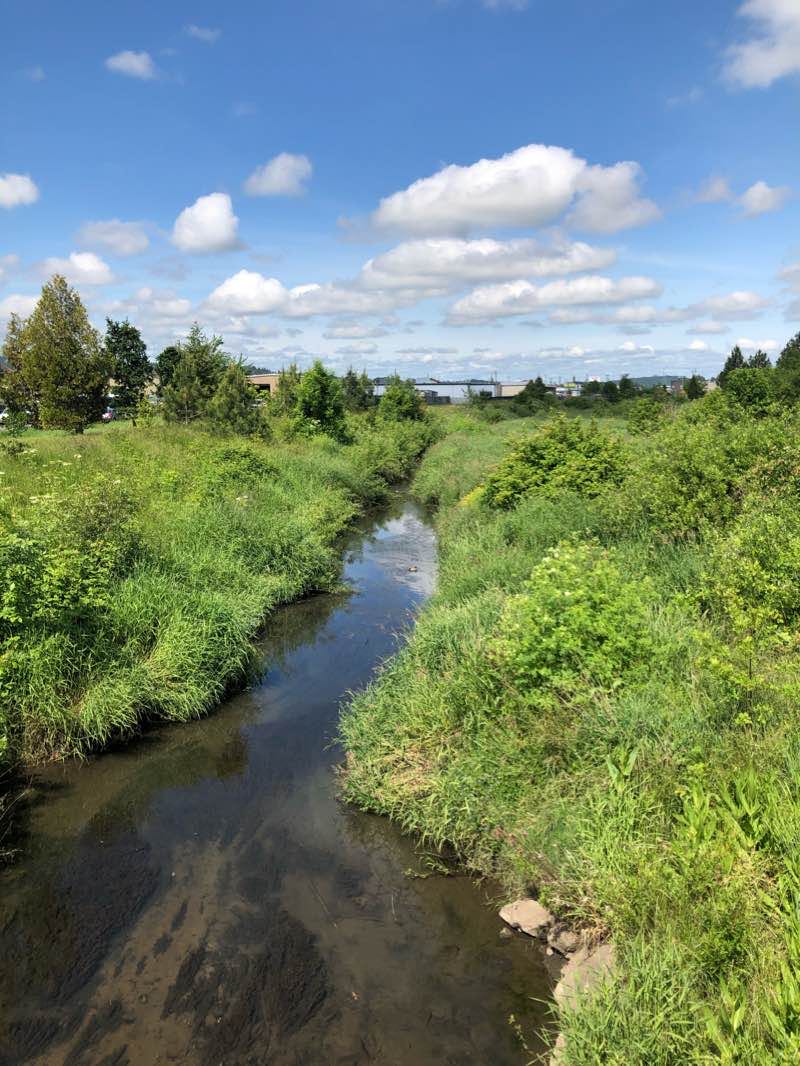walking near me in Berkley Park in winter