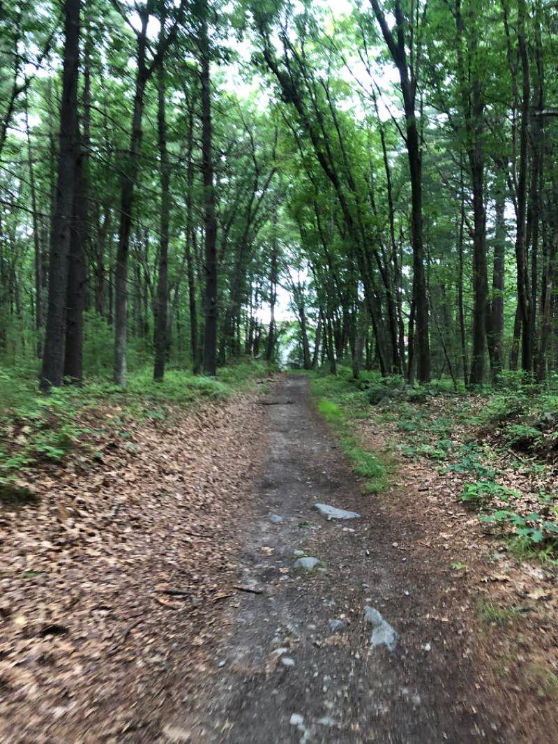 walking near me in Leblanc Park in winter