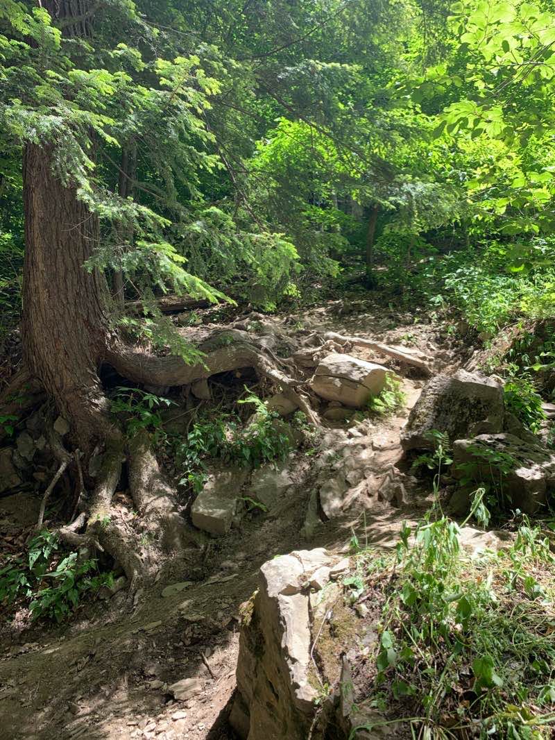walking near me in Carpenter Falls Unique Area in winter