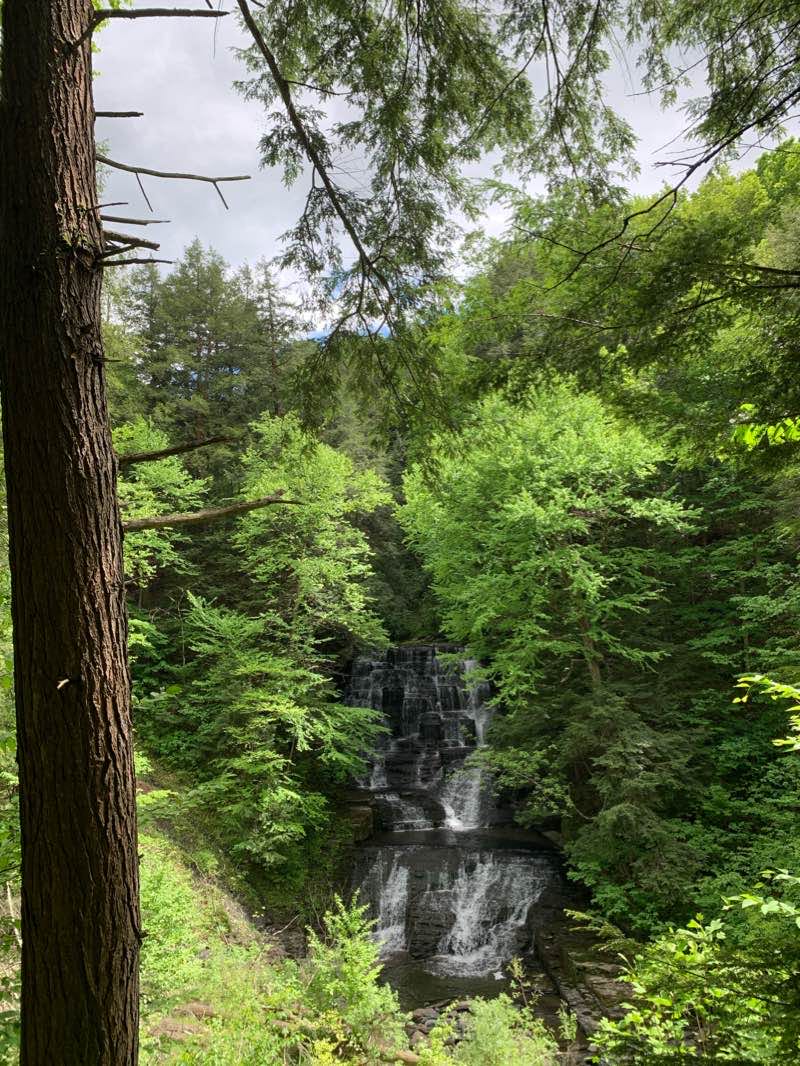 walking near me in Fillmore Glen State Park in winter