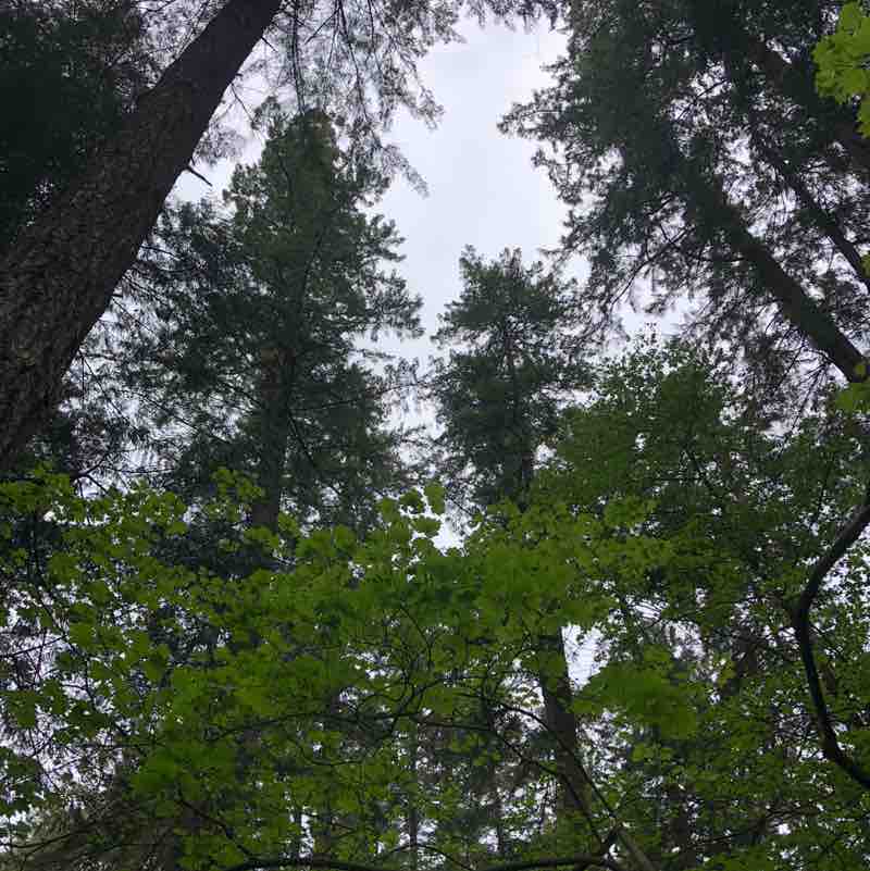 iceangels1984 post 2