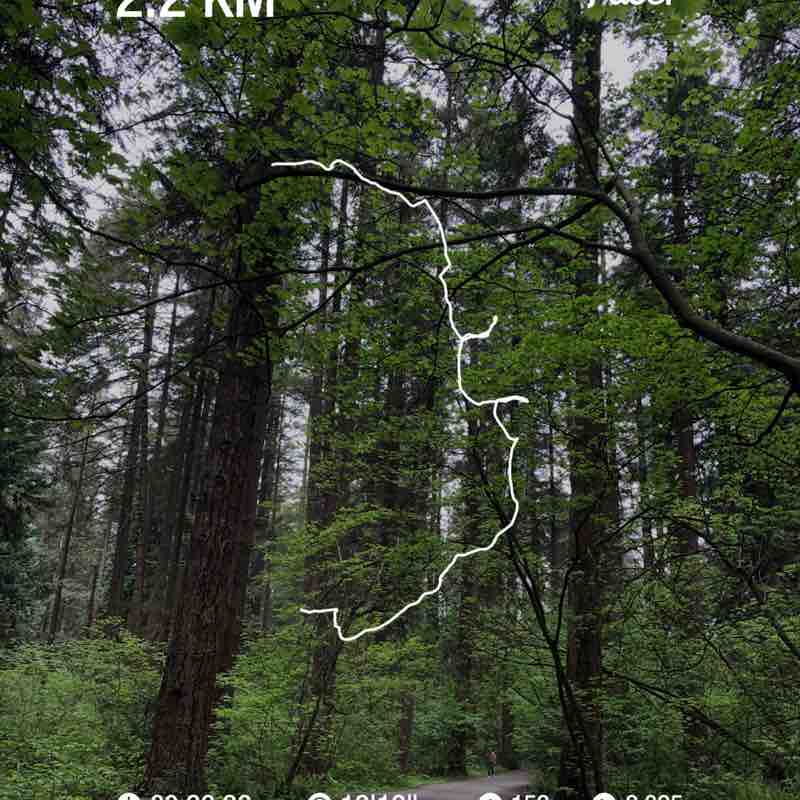 iceangels1984 post 1