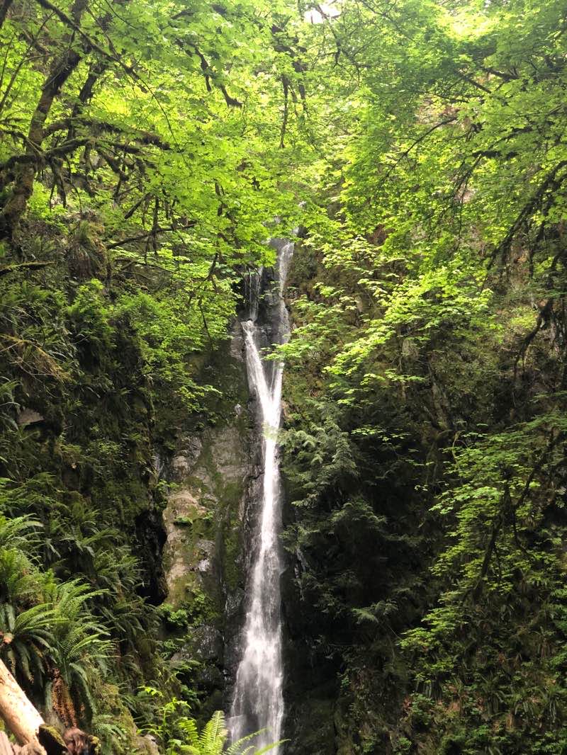 walking near me in Goldstream Provincial Park in winter