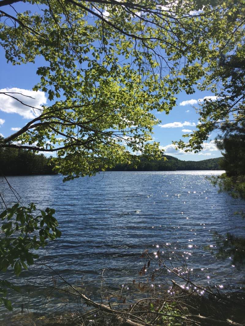 walking near me in East Quabbin/Dana in winter