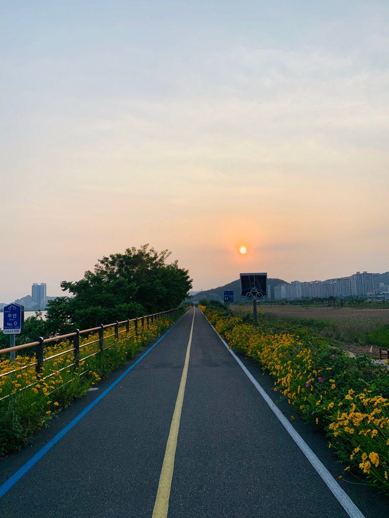walking near me in 중앙공원 in winter