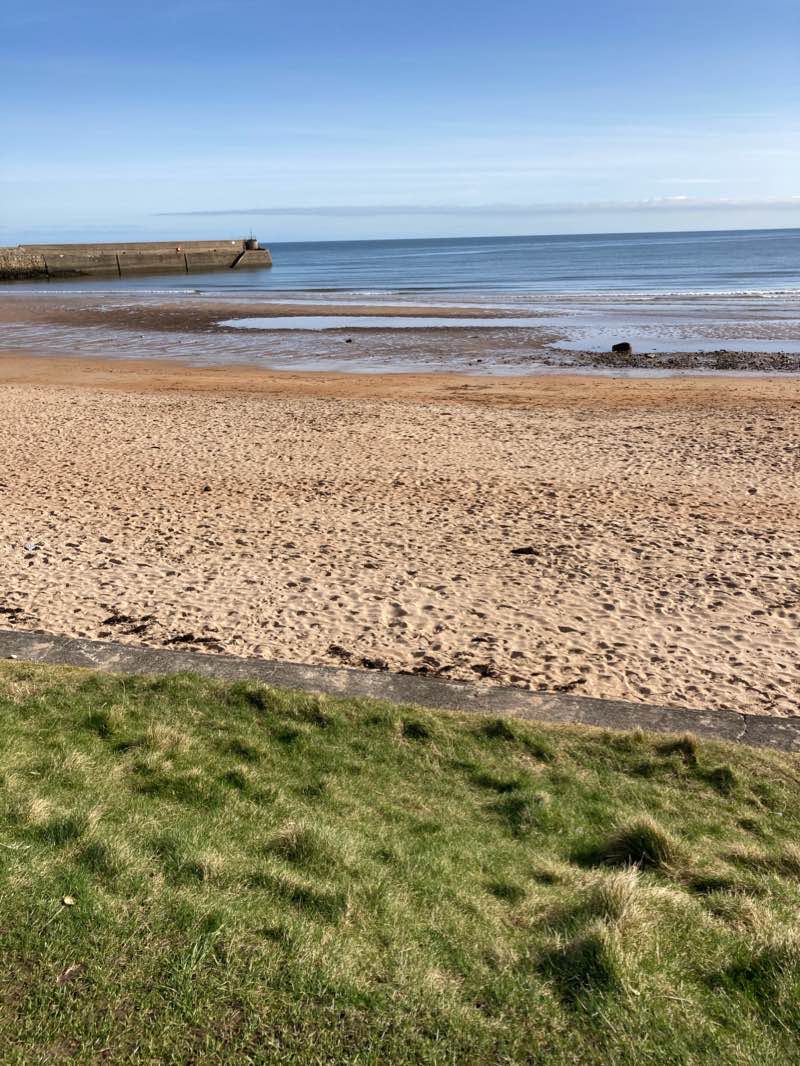 walking near me in Spider Park in winter