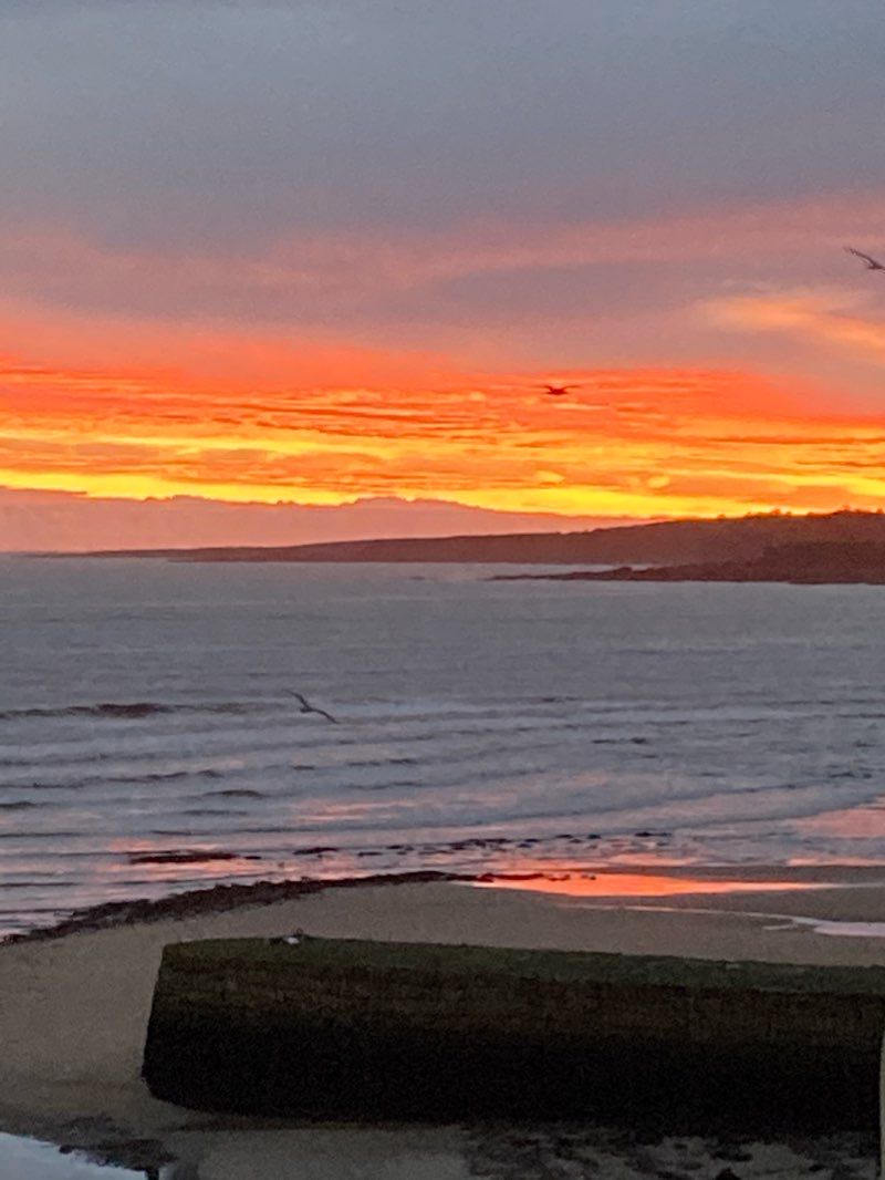 walking near me in Woodburn Park in winter