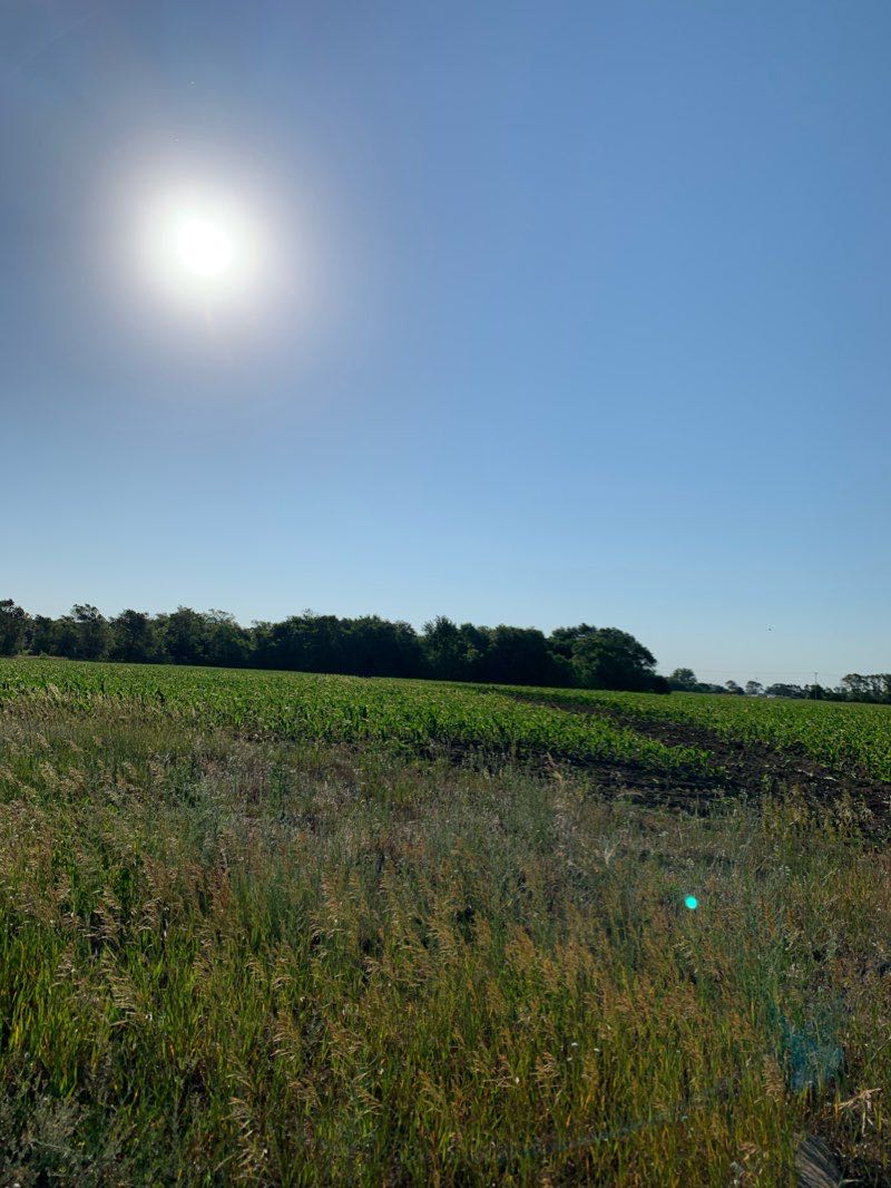 walking near me in Wright's Crossing Park in winter