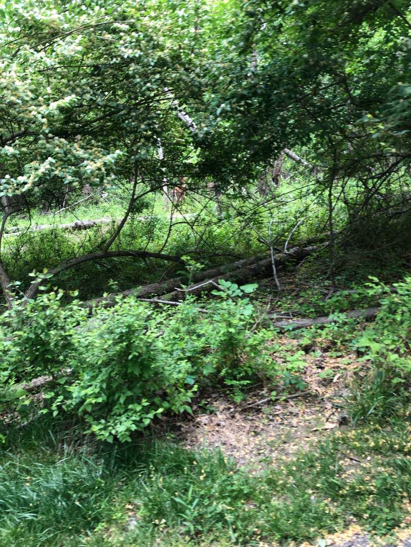 walking near me in Fairland Regional Park in winter