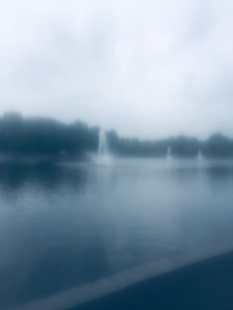 walking near me in Donnelly Memorial Park in winter