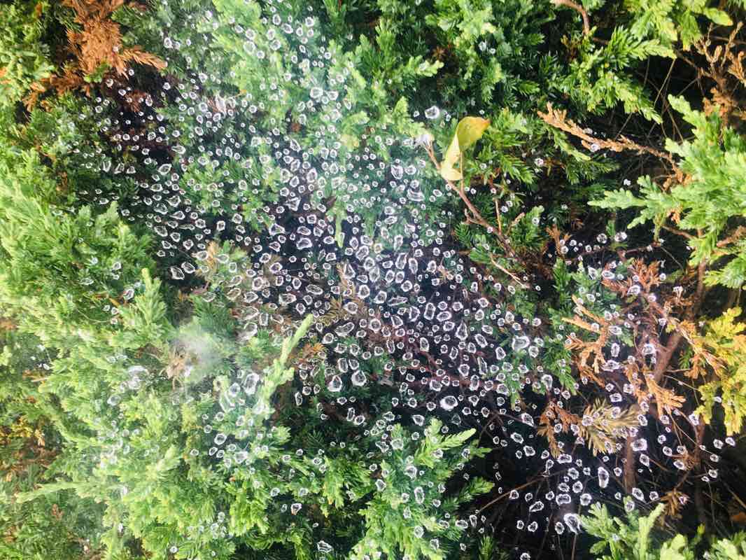 walking near me in Veterans Memorial Park in winter