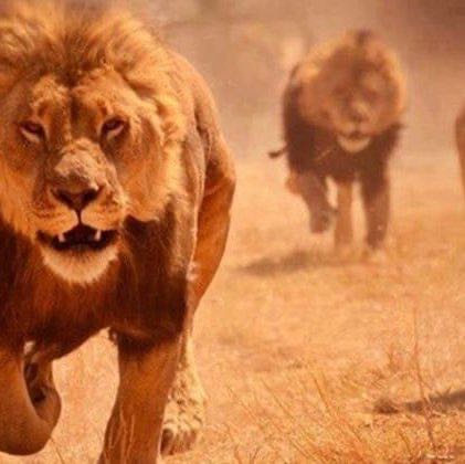 Danilo ⚔️🛡⚔️ post 1