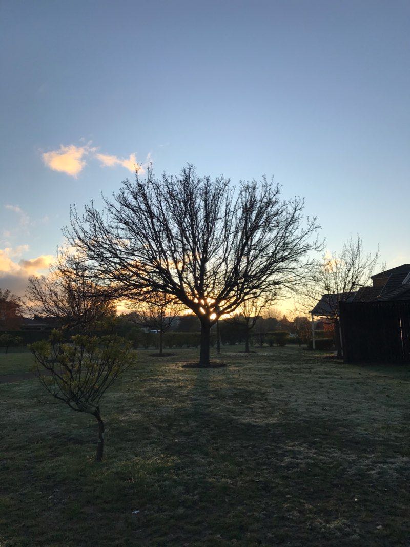 walking near me in Riddells Creek Recreation Reserve in summer