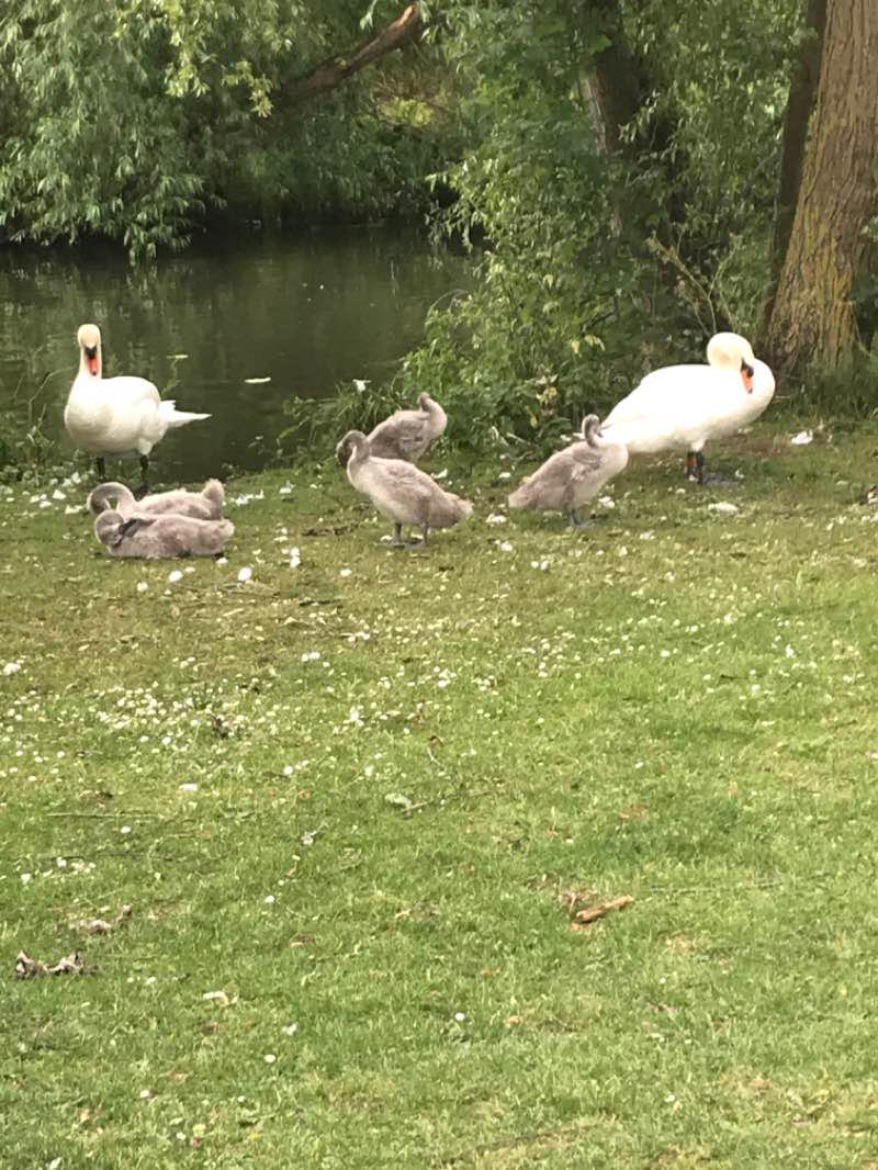 walking near me in Jubilee Park in winter