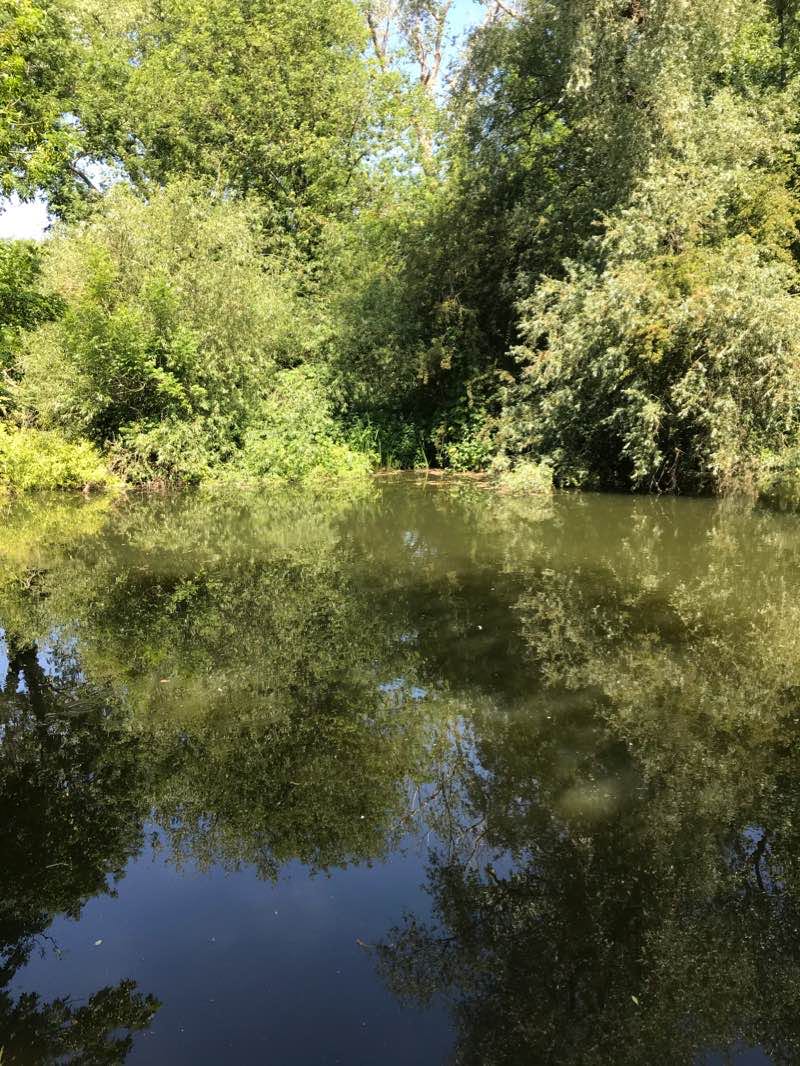 walking near me in The Slipe in winter