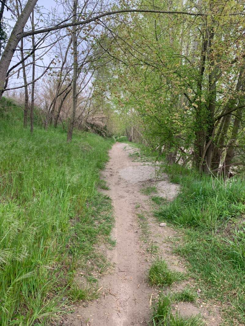 walking near me in Parco Villa Pullè in winter