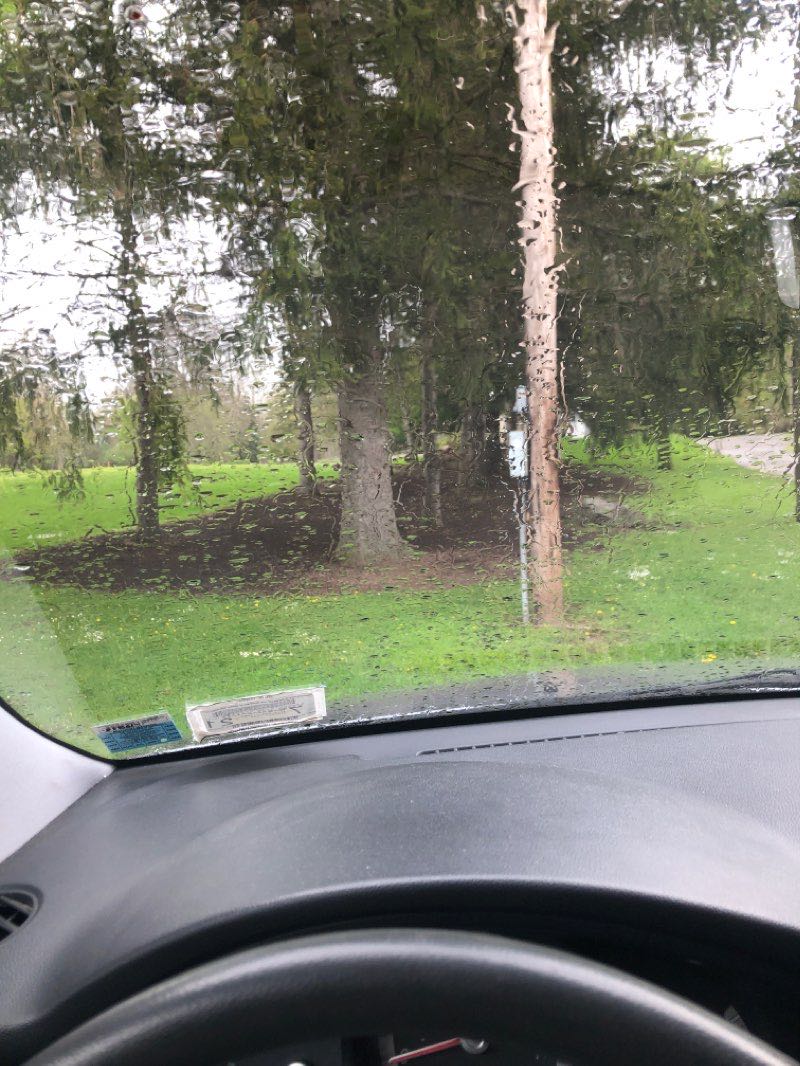 walking near me in Clarence Town Park in winter