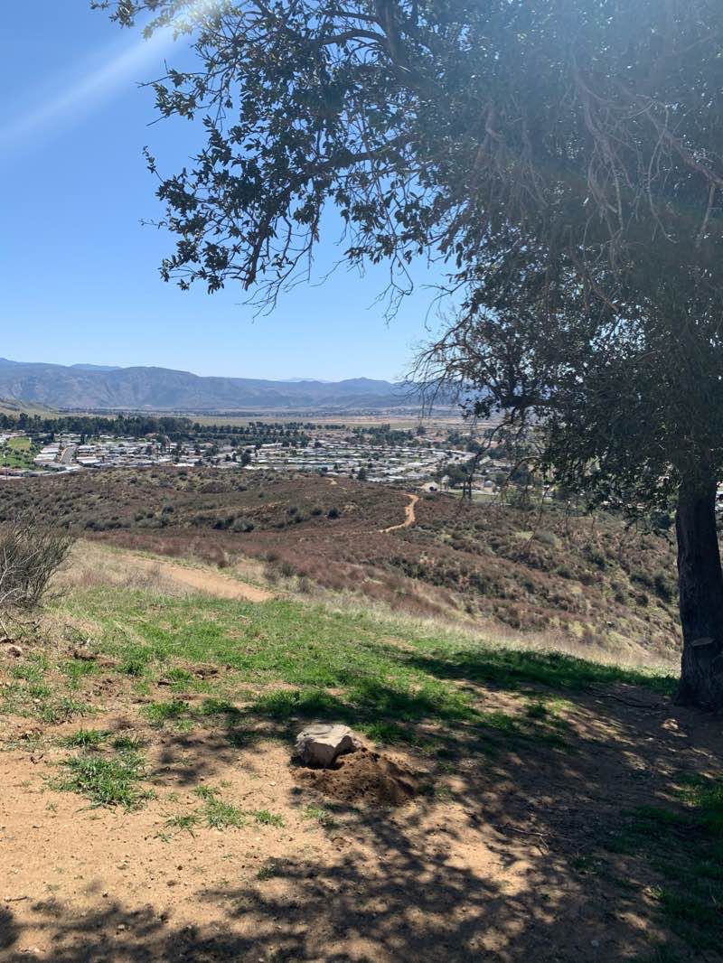 walking near me in Bogart County Park in winter