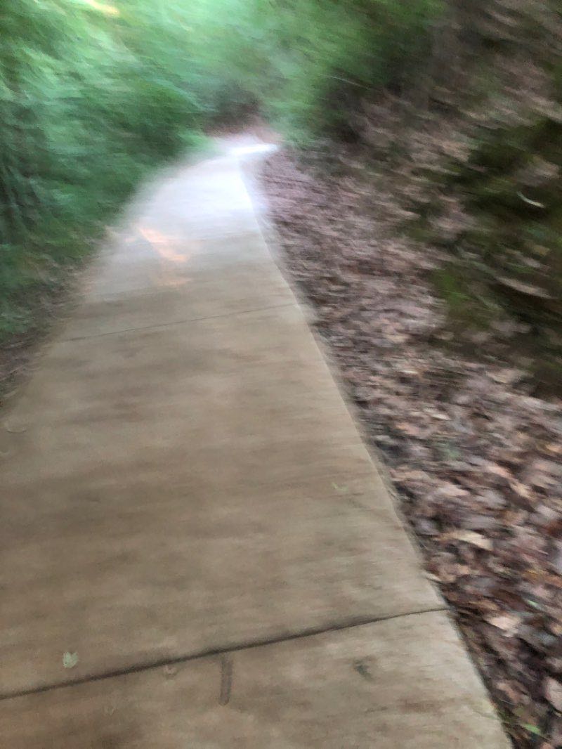 walking near me in Rock Creek Veterans Park in winter