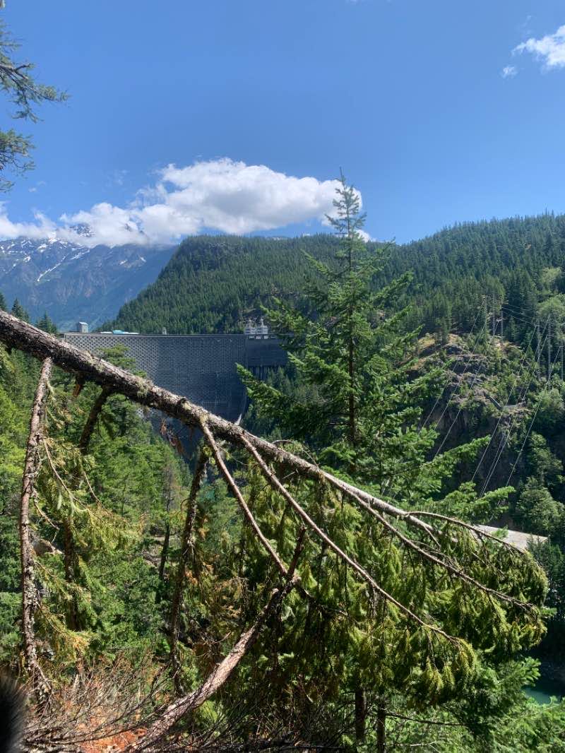 walking near me in Ross Lake National Recreation Area in winter