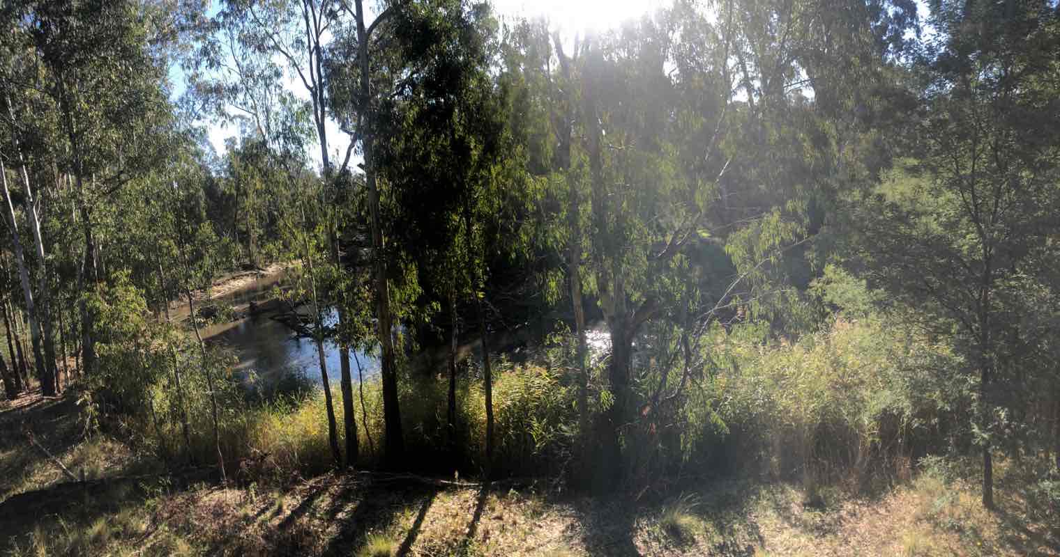 walking near me in Cobram Regional Park in summer