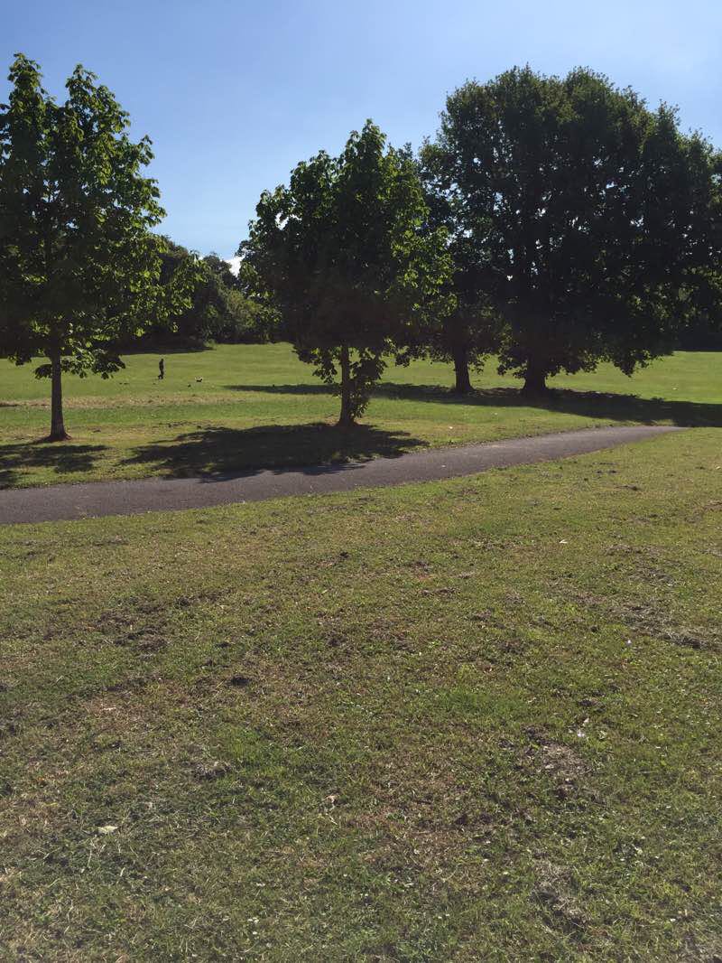walking near me in Bluebell Fields in winter