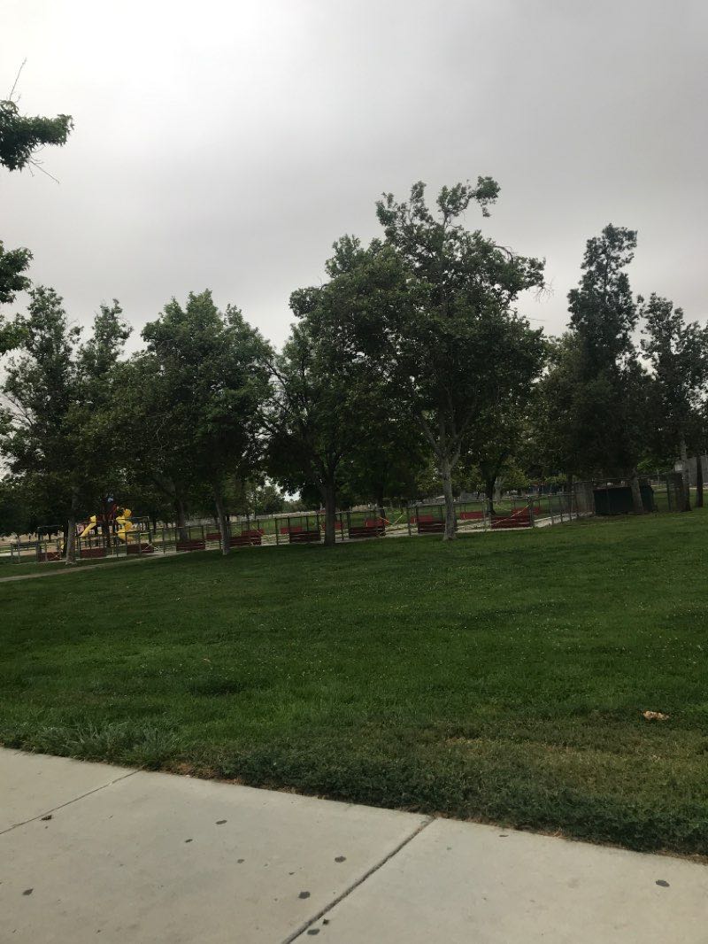 walking near me in Valley Wide Regional Park in winter