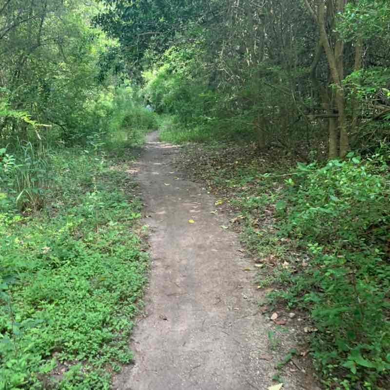 Telexa41 Walking Group Raghu post image