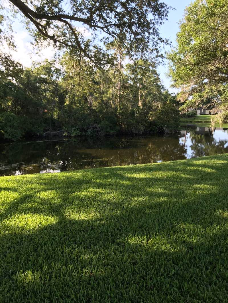 walking near me in Forest Run Park in winter