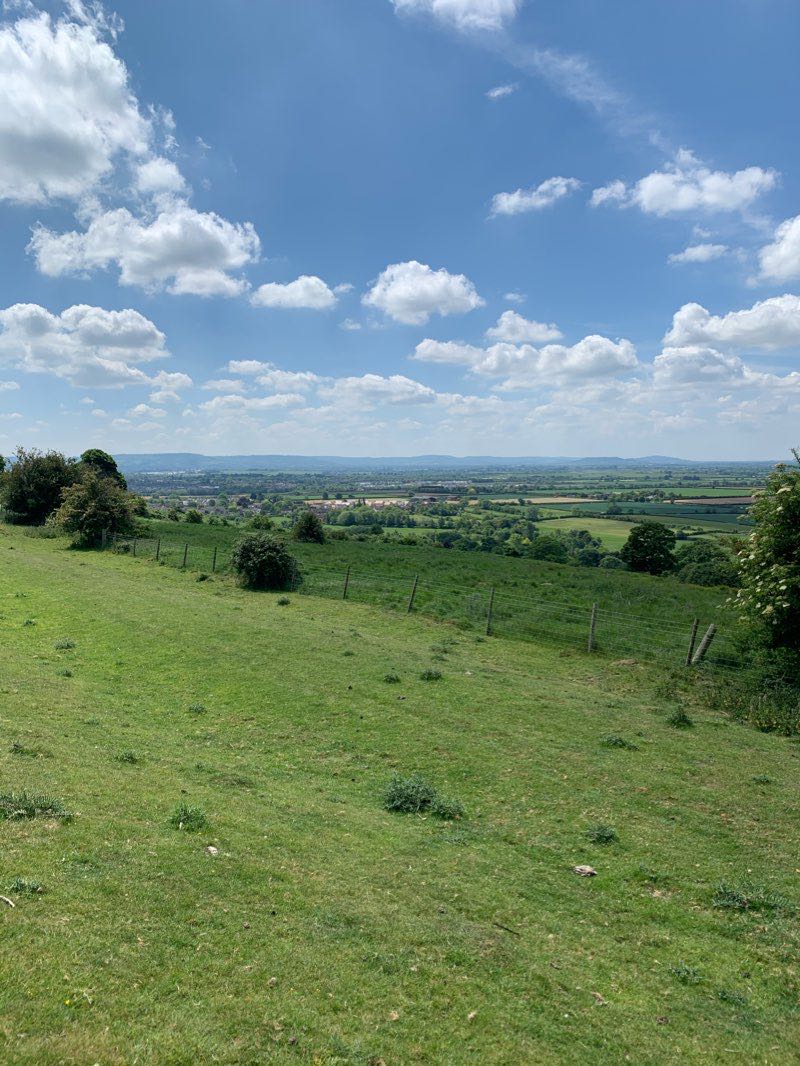 walking near me in Whitehouse Park in winter