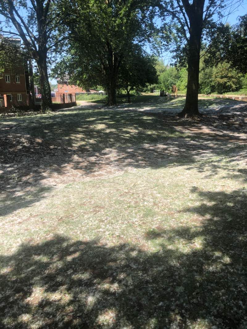 walking near me in Bridgewater Park in winter