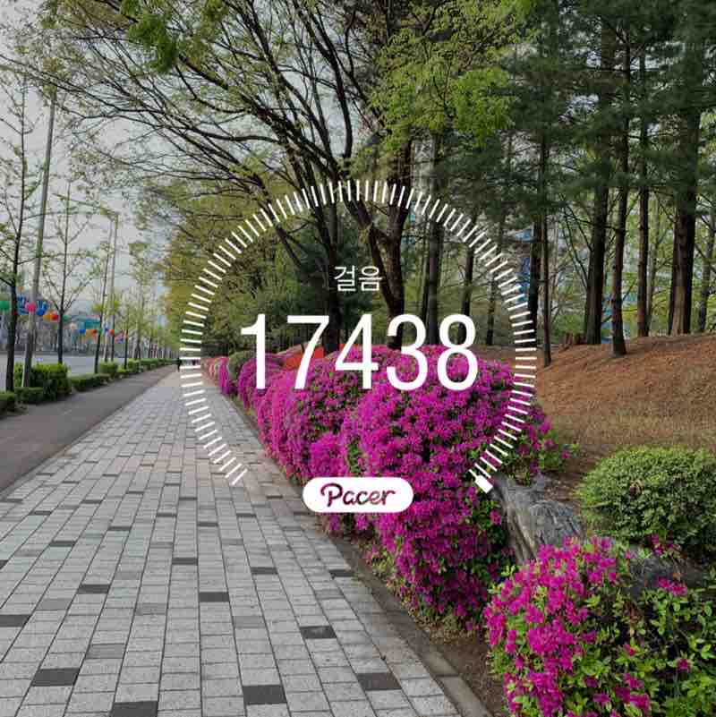 걷는 행복 post 1