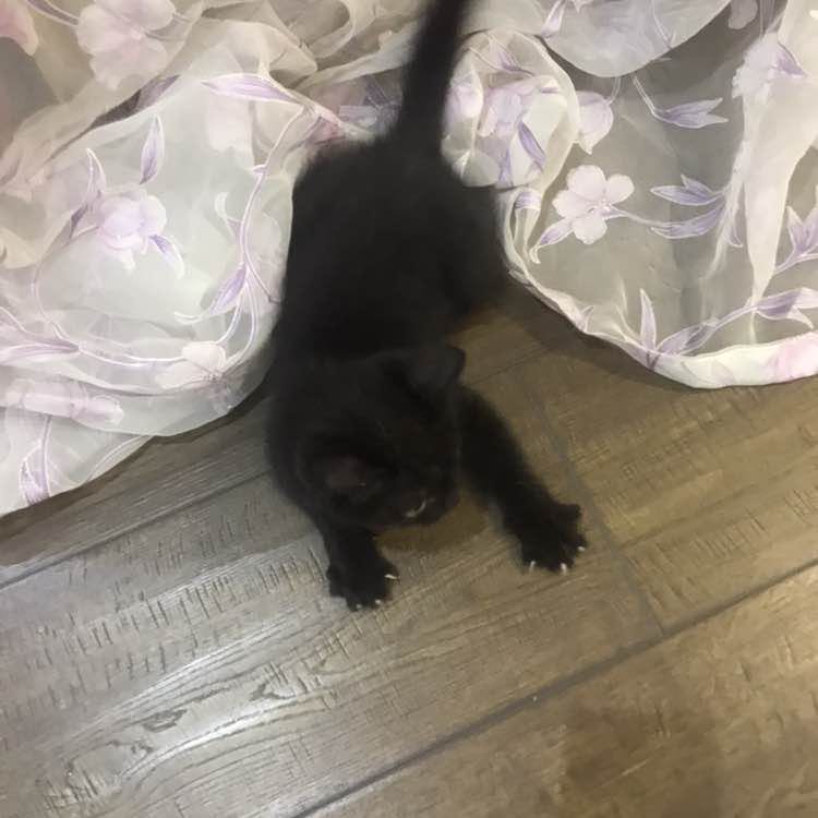 Юлия Яковлева post 2