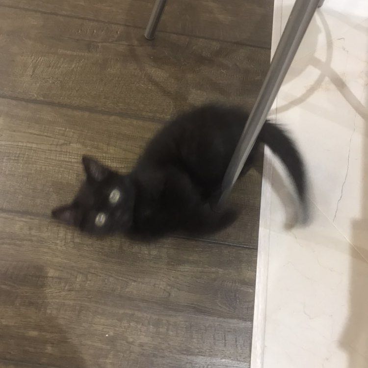 Юлия Яковлева post 1