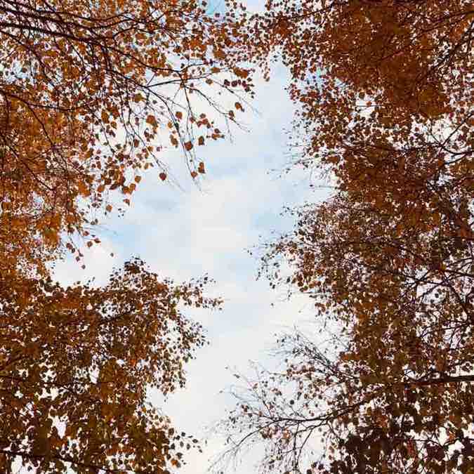 Юлия Яковлева post 1