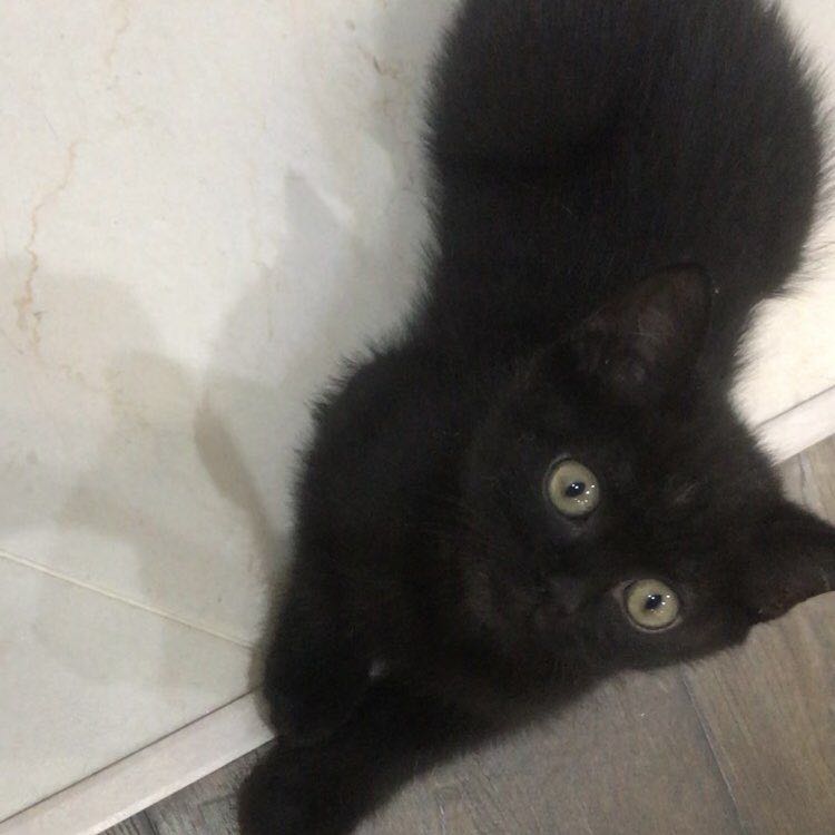 Юлия Яковлева post 3