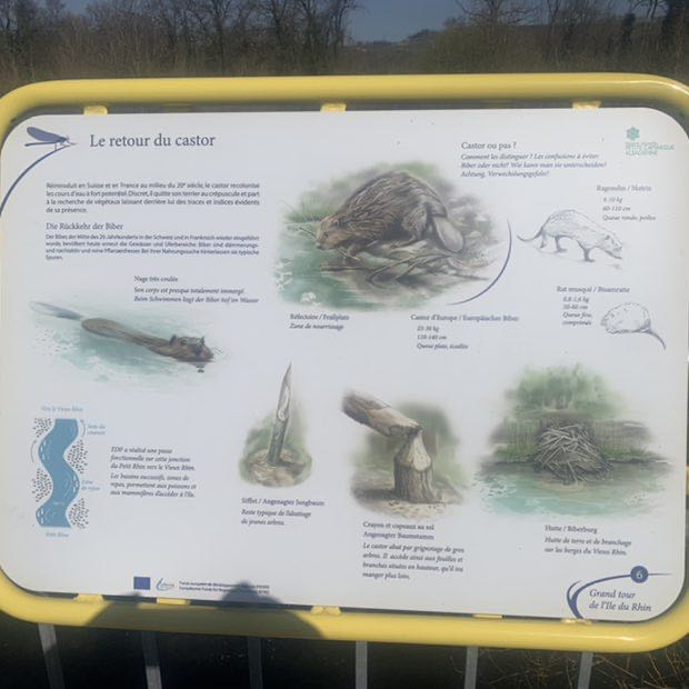 Jean francois post 2