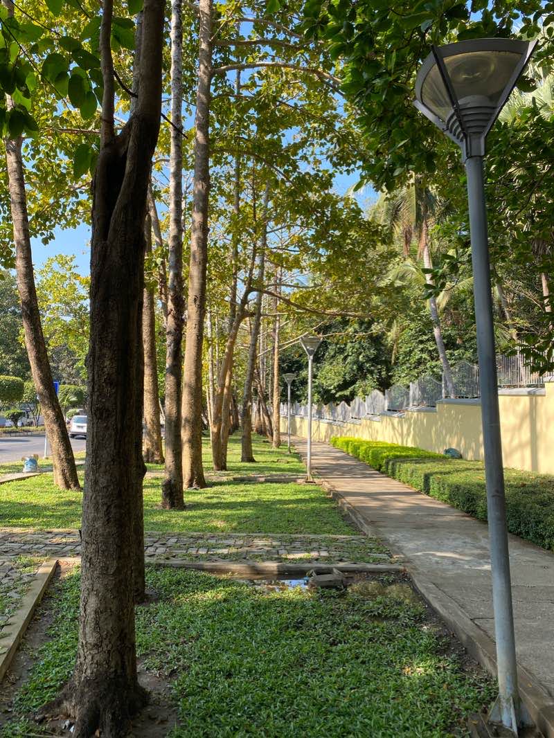 walking near me in People's Park in winter