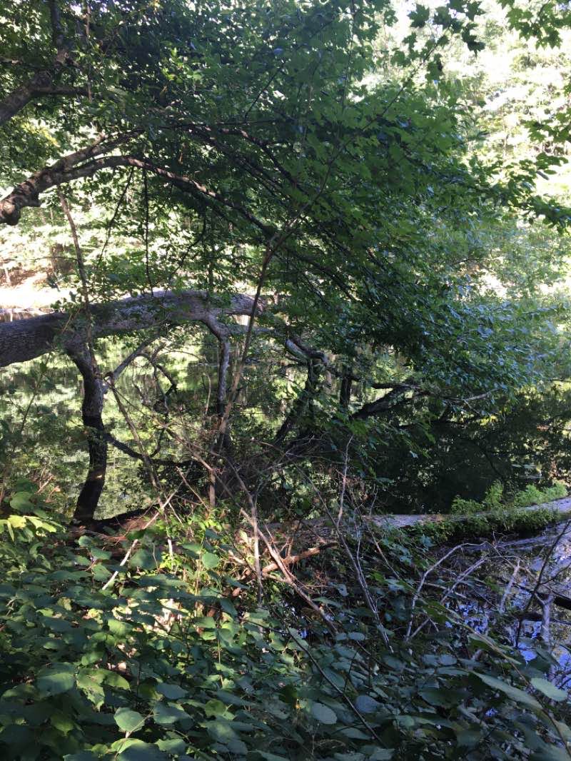 walking near me in Chenango Valley State Park in winter
