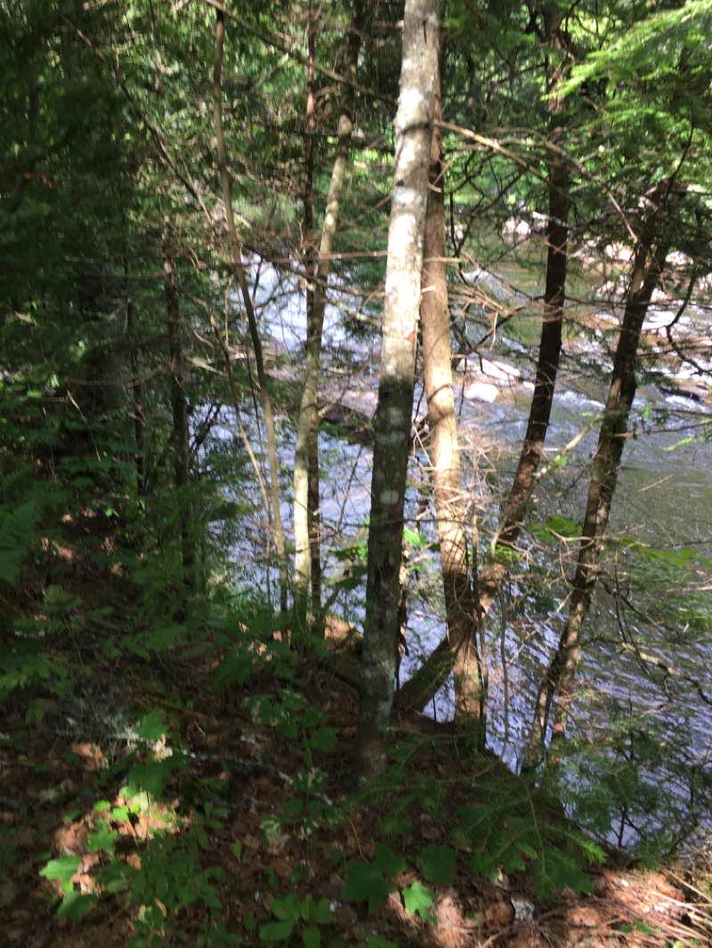 walking near me in Blue Mountain Wild Forest in winter