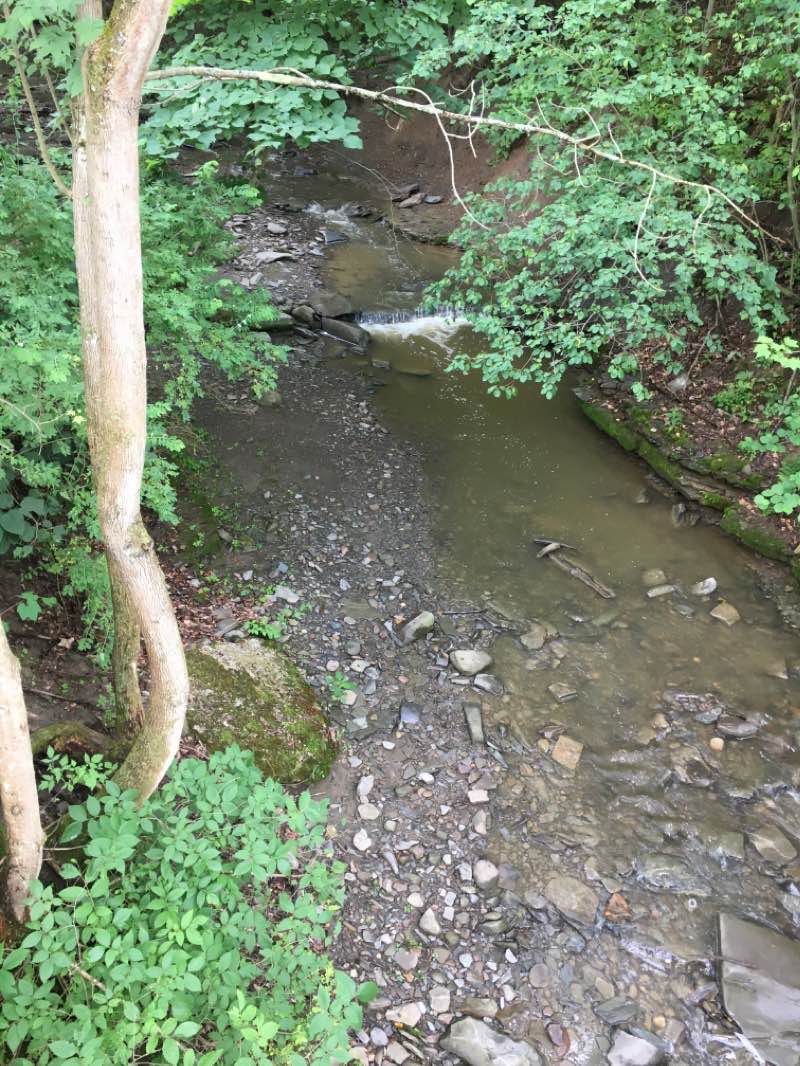walking near me in Stair Park in winter