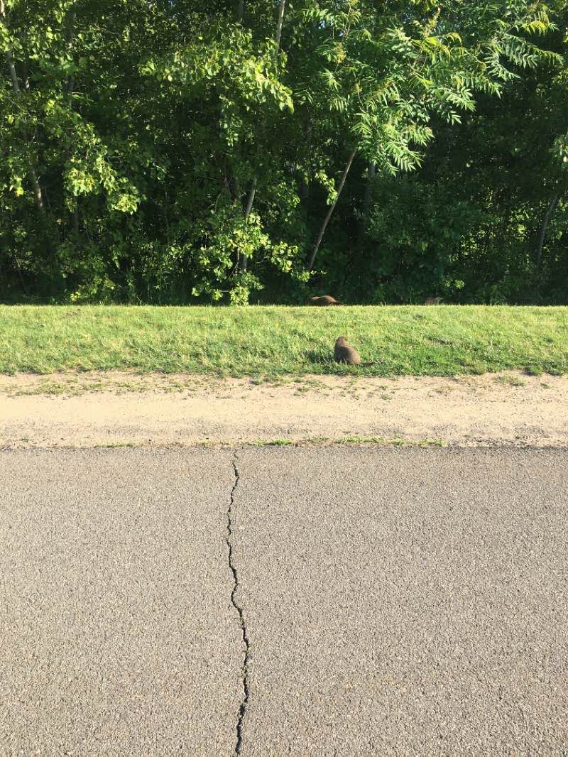 walking near me in Twin Orchard Park in winter
