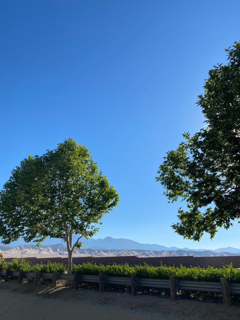 walking near me in Mountain View Park in winter