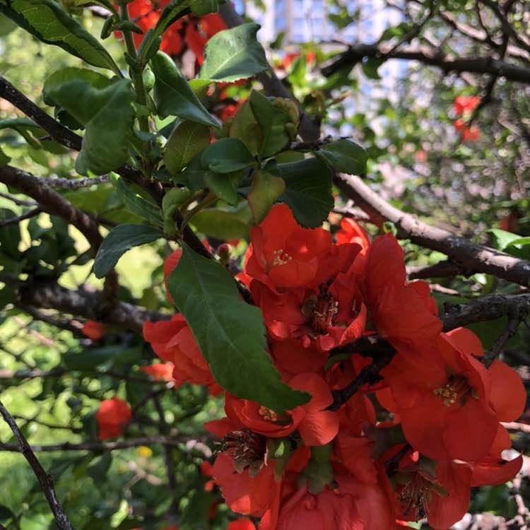 Маргарита post 2